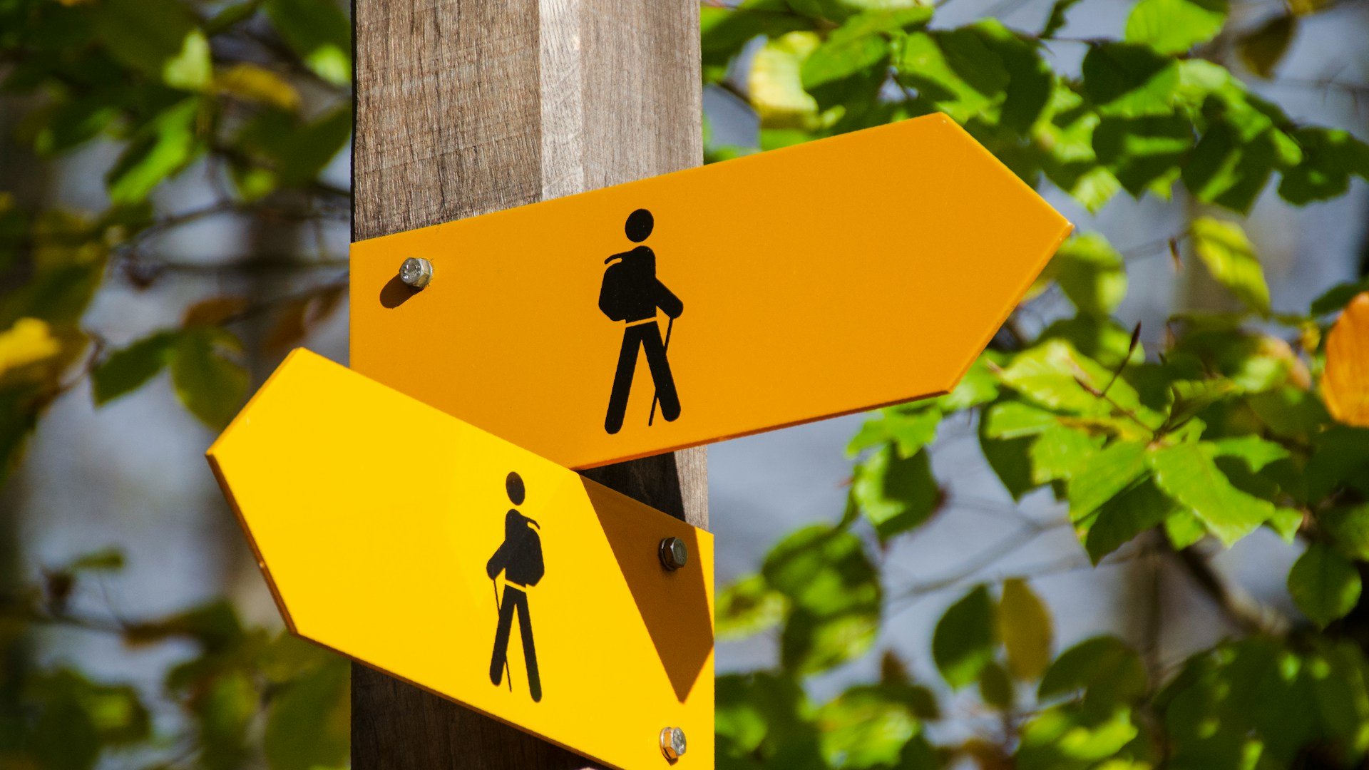 10 Common Myths About Workflow Automation